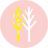 sugarbuttertree.jp Icon